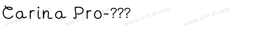 Carina Pro字体转换